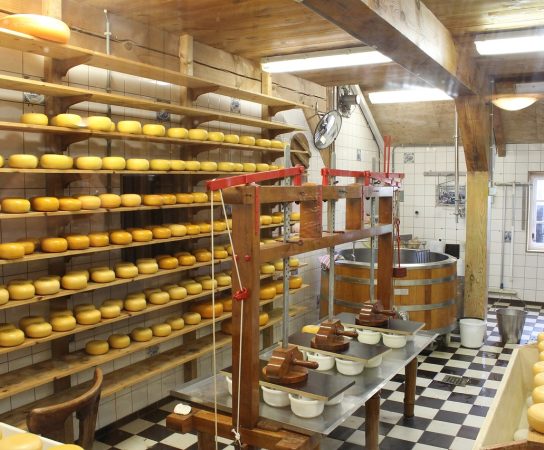 Quel matériel et équipement pour une fromagerie?
