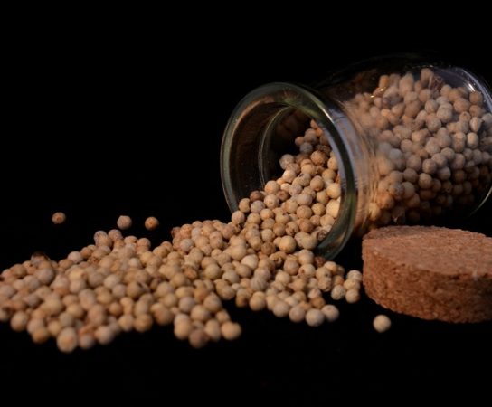 En quoi consiste le tri de semences ?