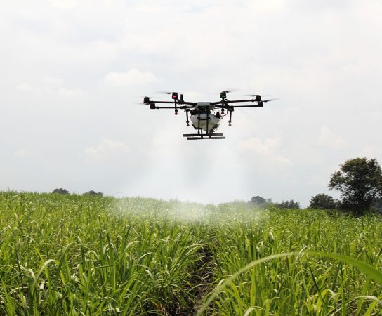 Tout sur l&rsquo;agriculture de précision