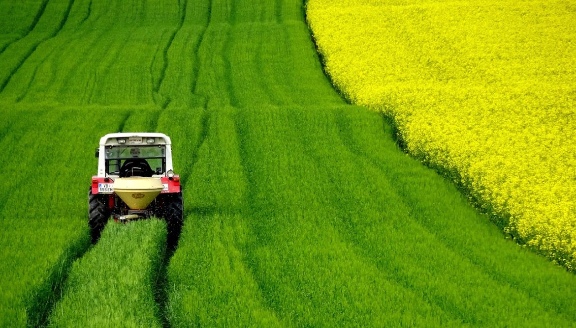 Les tracteurs à voie étroite : le choix idéal pour les cultures espacées