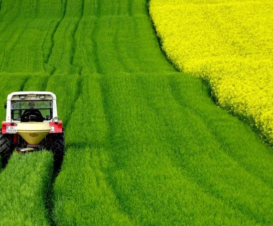 Les tracteurs à voie étroite : le choix idéal pour les cultures espacées