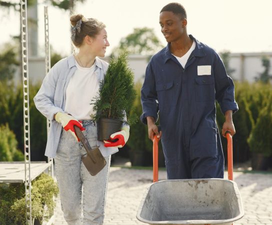 Quelles sont les tâches à effectuer lors de l&rsquo;entretien saisonnier du jardin ?