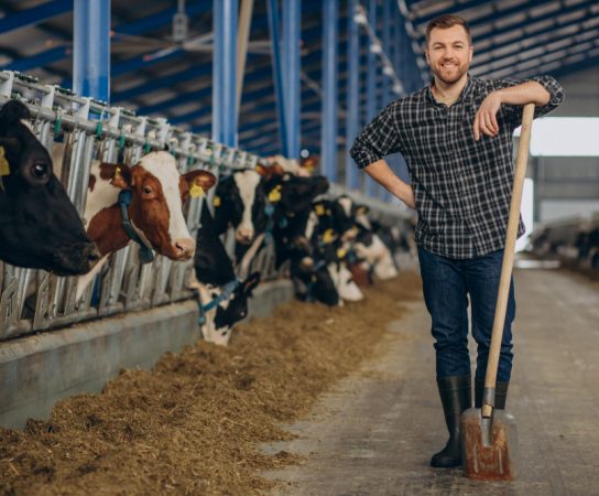 Les 7 clés du bien-être au travail d&rsquo;un agriculteur