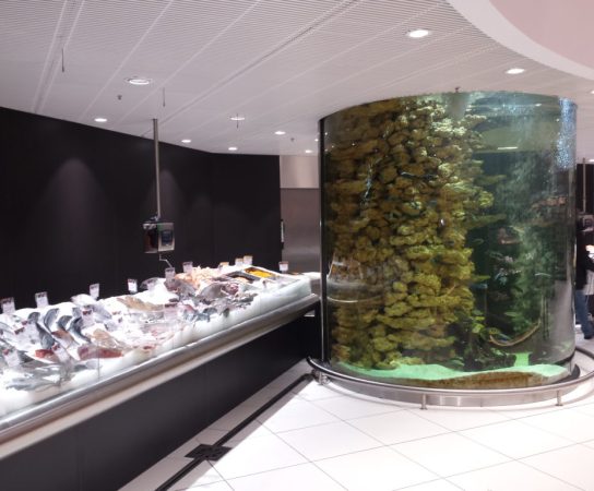 Découvrez l&rsquo;Artisanat derrière la Fabrication d&rsquo;Aquariums uniques