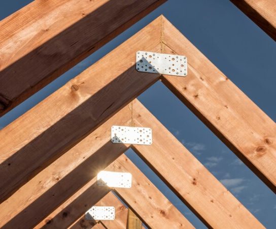 Comment identifier et traiter le capricorne de charpente ?