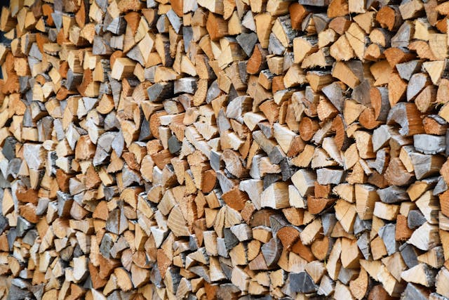 Guide complet du bois de chauffage : types, avantages et utilisation