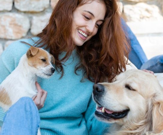 Accueillir un animal de compagnie : les recommandations essentielles