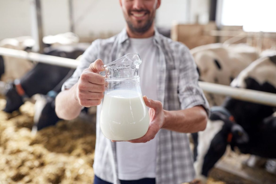 La puissance de la coopération laitière : une analyse détaillée des avantages