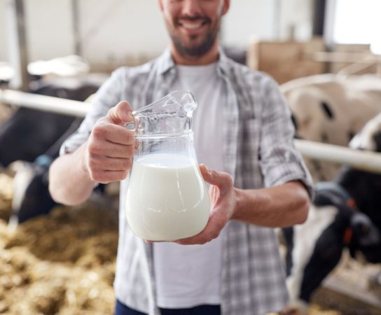 La puissance de la coopération laitière : une analyse détaillée des avantages