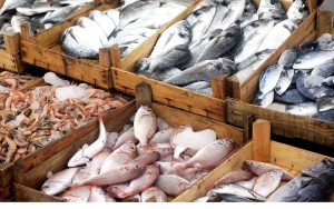 Comment choisir la bonne poissonnerie pour vos achats de poissons et fruits de mer frais