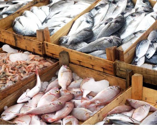 Comment choisir la bonne poissonnerie pour vos achats de poissons et fruits de mer frais