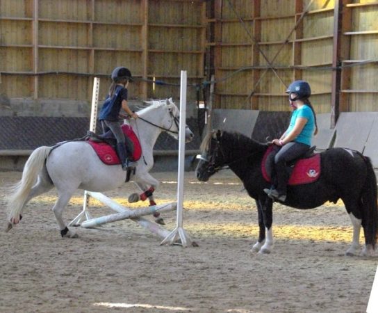 Les bienfaits insoupçonnés des cours d&rsquo;équitation pour les enfants