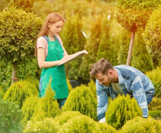 Formation en aménagement paysager : Le guide pour une carrière réussie