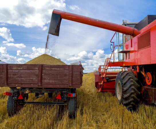 Aspirateur à grains vs système de transport traditionnel : Que choisir ?