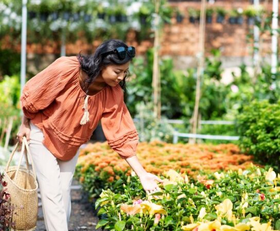 Optimisez votre jardin avec des techniques bio