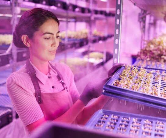 Technologie alimentaire et gastronomie de luxe : Des expériences culinaires uniques