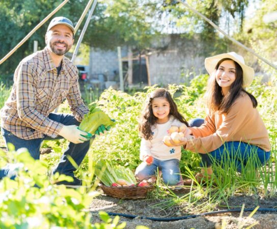 Coaching en conception de jardins familiaux : Espaces pour tous