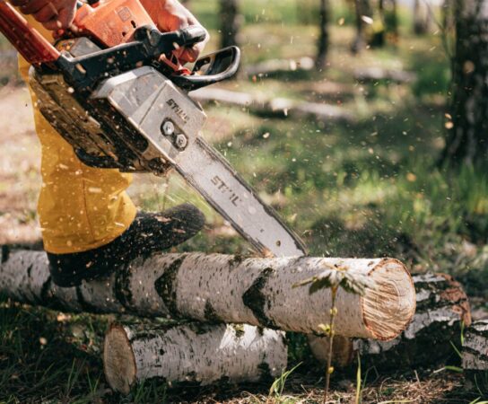 Les techniques modernes d&rsquo;abattage d&rsquo;arbres