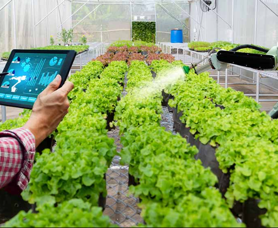 Comment intégrer des solutions de sécurité dans les systèmes de gestion de ferme ?
