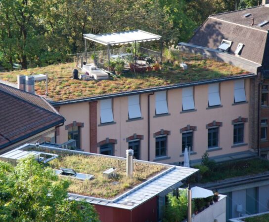 Comment les charpentiers réalisent-ils des structures adaptées aux toitures végétalisées ?
