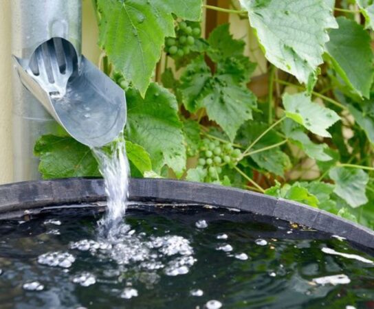 Les eaux de pluie : une ressource précieuse à exploiter