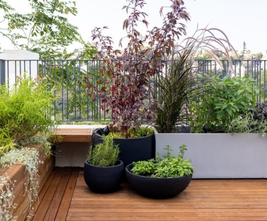 Formation pour transformer un balcon en mini-jardin urbain