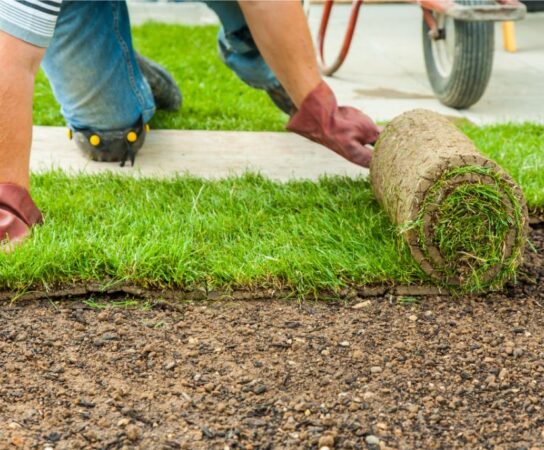 Astuces pour acheter et installer du gazon prêt-à-poser