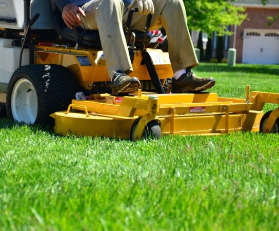 Optimisez votre jardin tout en réduisant vos impôts grâce à la tonte de pelouse