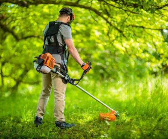 Entretien d’espace vert : Quels outils choisir pour un jardin parfait ?