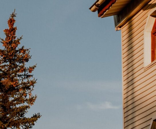 Façade vieillissante ? Redonnez-lui vie avec un bardage adapté