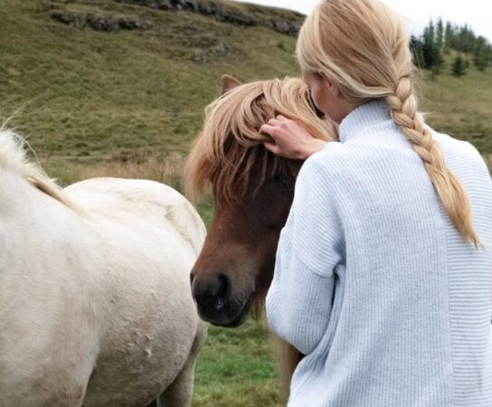Cours d’équitation : les bienfaits pour enfants et adultes