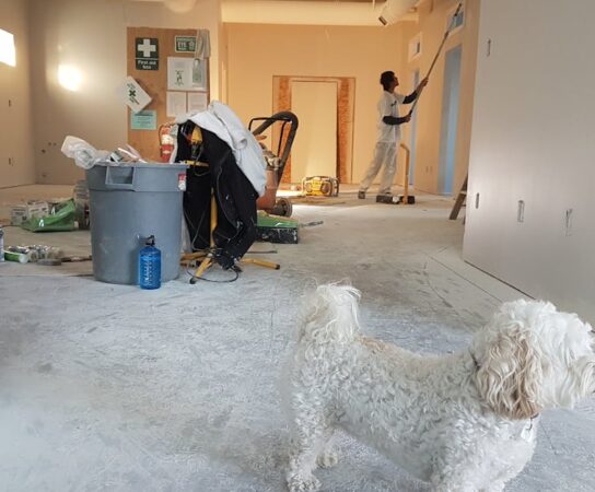 Rénovation totale ou partielle : quel projet est fait pour vous ?