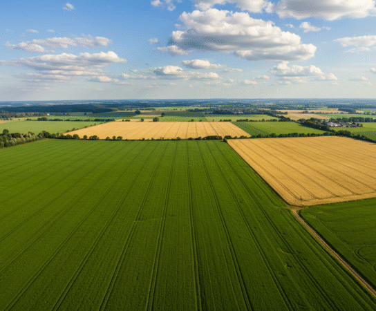 Préparation des sols agricoles : les techniques incontournables