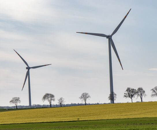 Énergies renouvelables : quelles solutions pour les petites entreprises ?