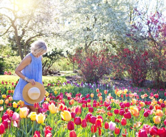 Végétation pour jardin : comment choisir les plantes idéales pour votre extérieur?