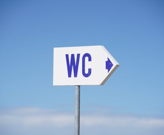 Location de toilette autonome : pour quelles occasions ?