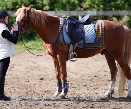 Cours d’équitation : découvrez les bienfaits pour la santé