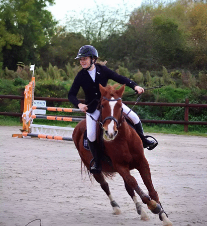 Pourquoi choisir une pension en écurie active pour vos chevaux
