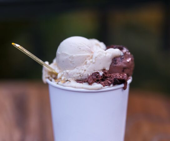 Glace fait maison : recettes créatives pour gourmets pressés