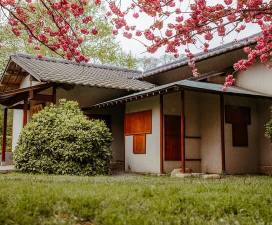 Installer un abri de jardin esthétique