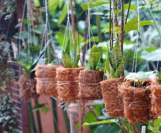 Installer des jardinières suspendues décoratives