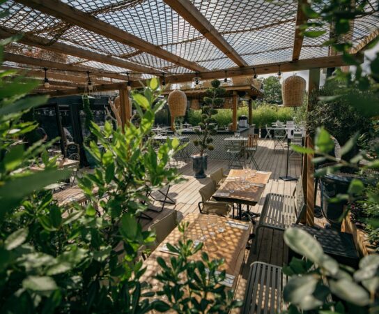 Pergolas : choisir les plantes pour un look moderne
