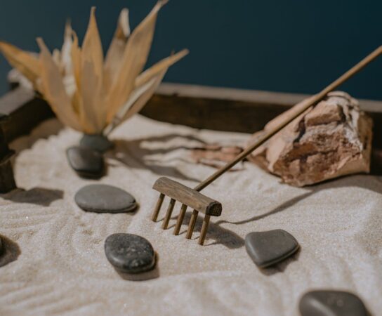 Secrets pour un jardin zen apaisant