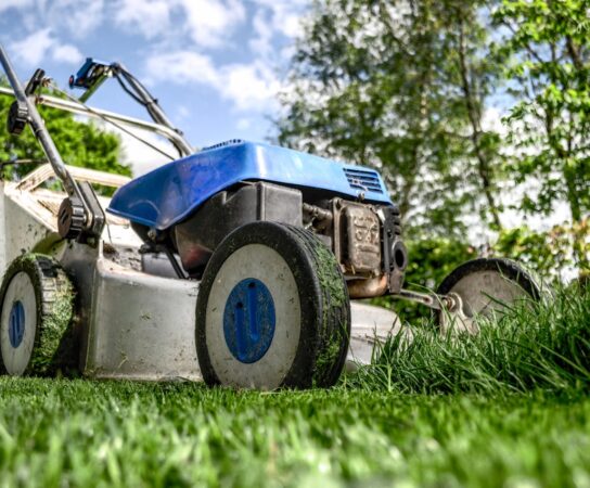 Tondeuse à gazon : comment choisir le bon modèle pour votre terrain ?