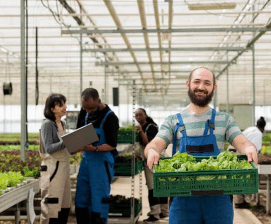 Gestion des exploitations agricoles : comment allier technologie et tradition