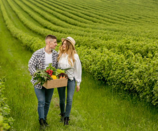 L’agrotourisme : quand agriculture et tourisme se rencontrent