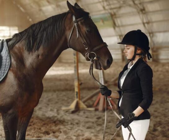 Cours d&rsquo;équitation : développez votre confiance et votre lien avec le cheval