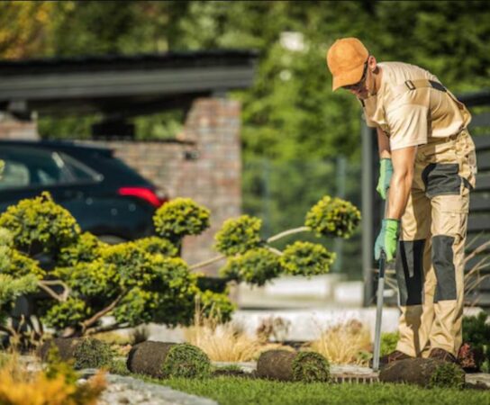 Entretien d’espaces verts : jardins impeccables toute l’année