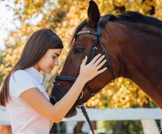 Équithérapie : le cheval au service du bien-être et de la rééducation