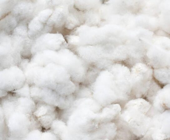 Ouate de cellulose, fibre de bois, liège : quel isolant écologique choisir ?